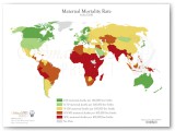 Maternal Mortality Rate_2010tif_wmlogo2