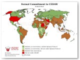 Formal Commitment to Cedaw Statistic