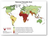 Maternal Mortality Statistic